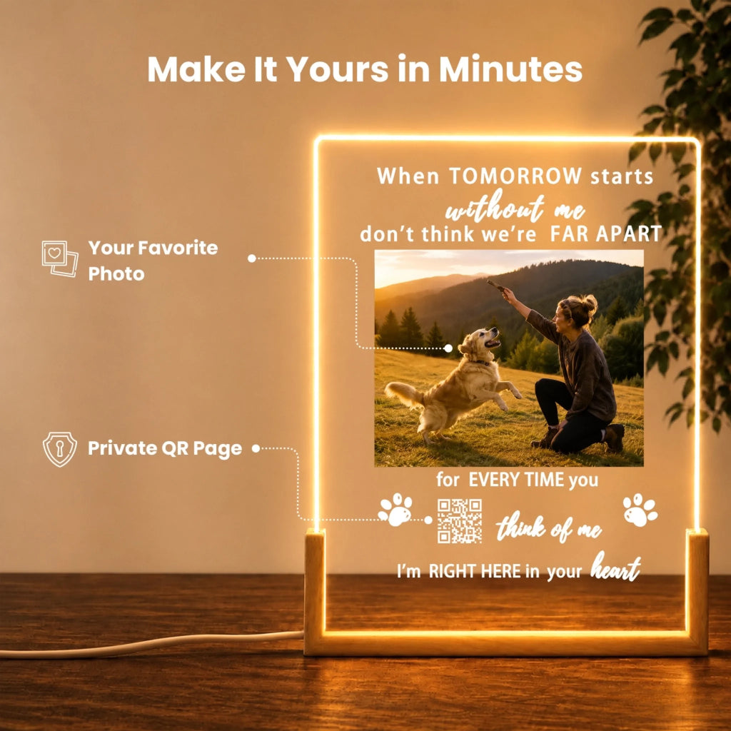 Forever Loved, Never Forgotten - Personalized Pet Memorial Night Light2